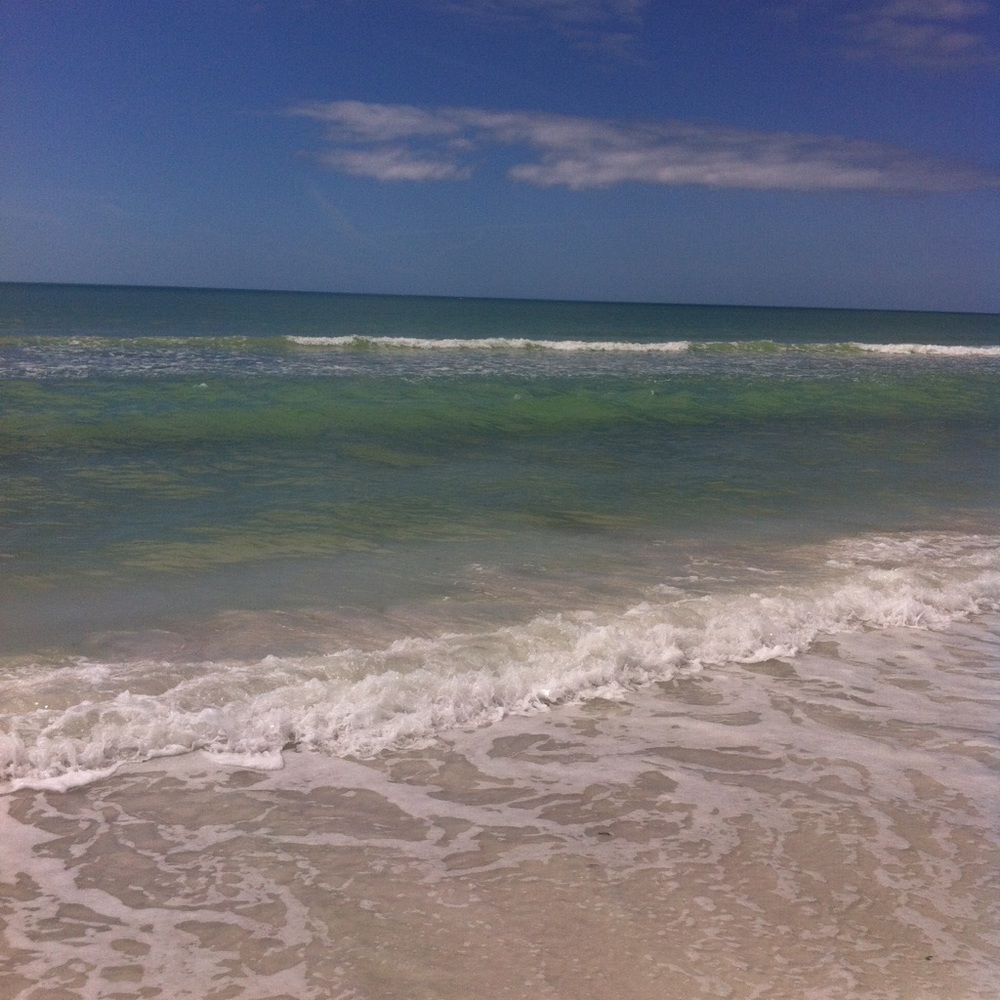 Meet your Posher, Patti